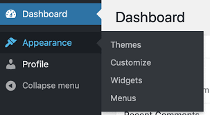 edit theme options permission