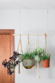 Diy Hanging Herb Plant Garden Dream