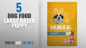 Top 5 Dog Food Large Breed Puppy 2018 Best Sellers Iams Proactive Health Smart Puppy Dog Food For