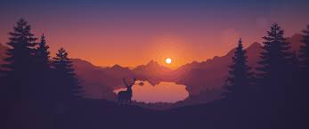 lakeside wallpaper 4k sunset deer