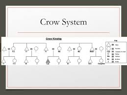 Ppt Kinship Diagrams Powerpoint Presentation Free