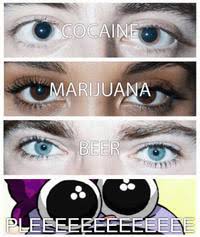 Cocaine Marijuana Beer Know Your Meme