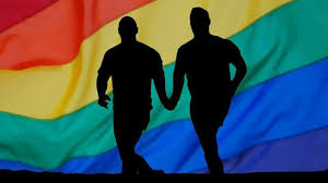Парламент Венгрии принял закон, запрещающий пропаганду гомосексуализма