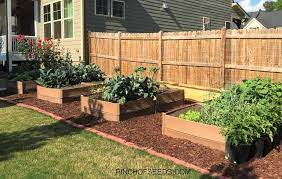 Vegetable Gardening At Home For