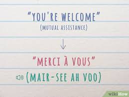 re welcome in french wikihow