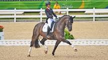 Is dressage cruel to the horse?
