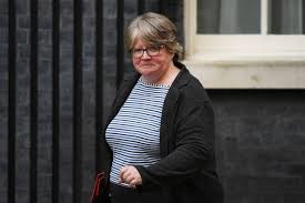 Thérèse anne coffey (born 18 november 1971) is a british politician a member of the conservative party, coffey has served as the member of parliament (mp) for suffolk coastal since 2010, she. Tories Refuse To Sack Candidate Who Said People On Benefits Street Should Be Put Down Daily Record