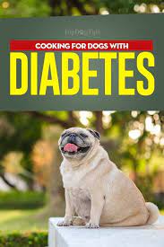 3 how to prepare your own homemade diabetic diet 7 treatment and care for your diabetic doggies: 8 Homemade Diabetic Dog Foods Ideas Diabetic Dog Diabetic Dog Food Dog Food Recipes