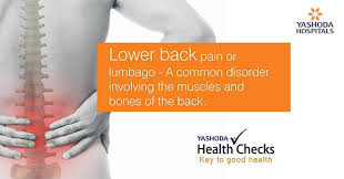 lower back pain or lumbago causes