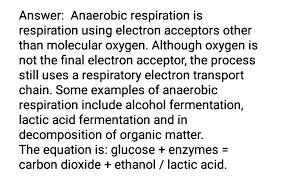 what is anaerobic respiration write