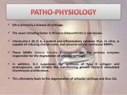 Osteoarthritis Pathophysiology Updated Management