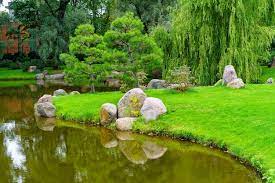 Japanese Garden With Trees