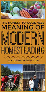 honest meaning of modern homesteading