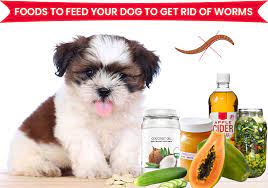 feed your dog to get rid of worms