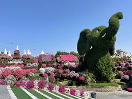 dubai miracle garden dubai united