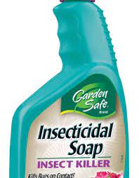 garden safe insecticidal soap ready to