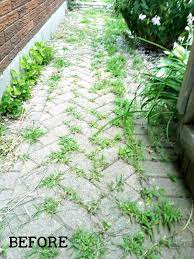 Removing Weeds From Bricks Without