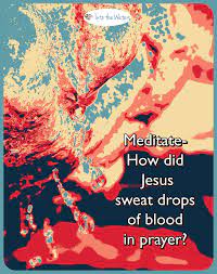 how did sweat blood in prayer