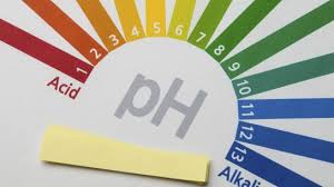 How To Maintain Ph Balance In The Body
