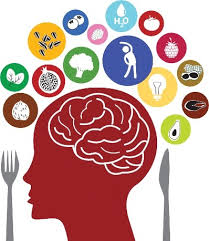 Food images may show a similar or a related product and are not meant to be used for food identification. Neuro Nutrition Ptsd Association Of Canada