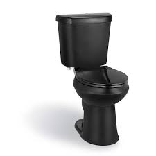Dual Flush Elongated Toilet In Black