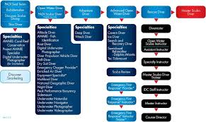 Padi Learn To Dive Flow Chart Hhhth