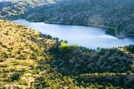 Is santa cruz lake open. Overlook Campground Santa Cruz Lake Santa Fe New Mexico Free Campsites Near You