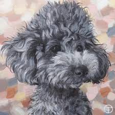 toy poodle painting by olia tomkova