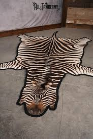 african zebra taxidermy rug