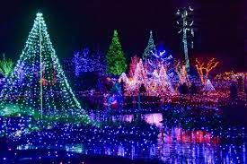 holiday lights dazzle at gardens aglow