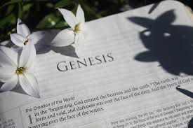Download free photo of Bible, creation, genesis, religion, nature - from  needpix.com
