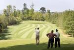 Golf in Gowran is a Winner With 5 holes located in the centre of ...