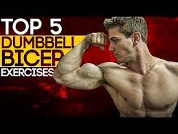 dumbbell bicep exercises build muscle