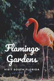 Flamingo Gardens Davie Florida