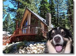 Prices reflect current offers and availability is subject to change. Lake Tahoe Pet Friendly Rentals Lake Tahoe Vacation Guide