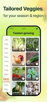 Growit Vegetable Garden Care On The