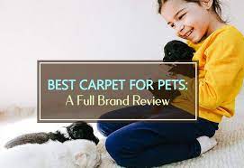 best carpet for pets 2023 a full brand