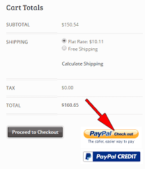 Paypal button pay with credit card. Paypal Pay With Credit Card Instead Of Balance Or Bank