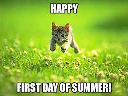 But for most americans, memorial day weekend also marks the official start to summer! First Day Of Summer Memes