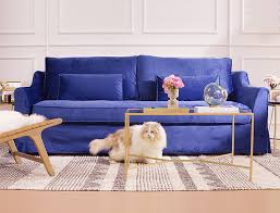the best sofa fabric for pas pet