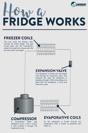 how to clean a fridge s evaporative coils