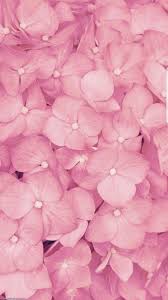 mbetulduru Pink flowers Wallpaper Cute ...