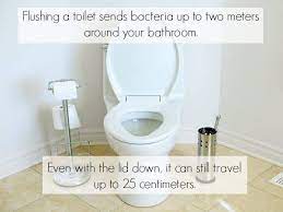 can you catch diseases on toilet seats