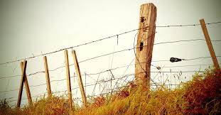 A Guide To Erecting A Post And Wire Fence