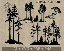 Tall Pine Tree Silhouette Forest Scene