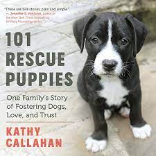 These puppies are also vet check and healthy. 101 Rescue Puppies One Family S Story Of Fostering Dogs Love And Trust 9781608686568 Callahan Kathy Books Amazon Com