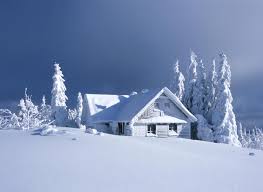 Cum sa faci fotografii de iarna | Printie Premium