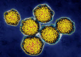 What Is A Viral Load For Hepatitis C