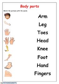 There are 25 flashcards including 'tongue' and 'belly button'. Body Parts Activity For 1