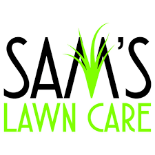 top 10 best lawn care near windsor co